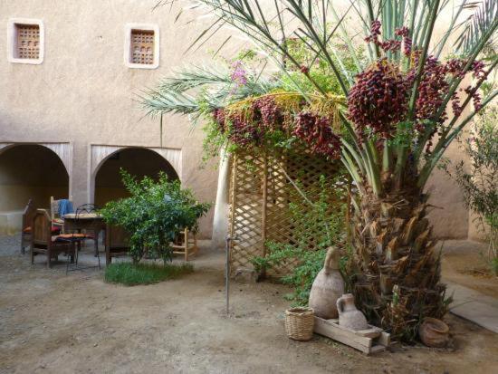 فندق Kasbah Timidarte Zaouita Bou Lhassane المظهر الخارجي الصورة